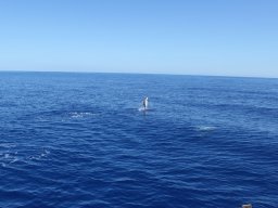 Visite de Célyne et Faf